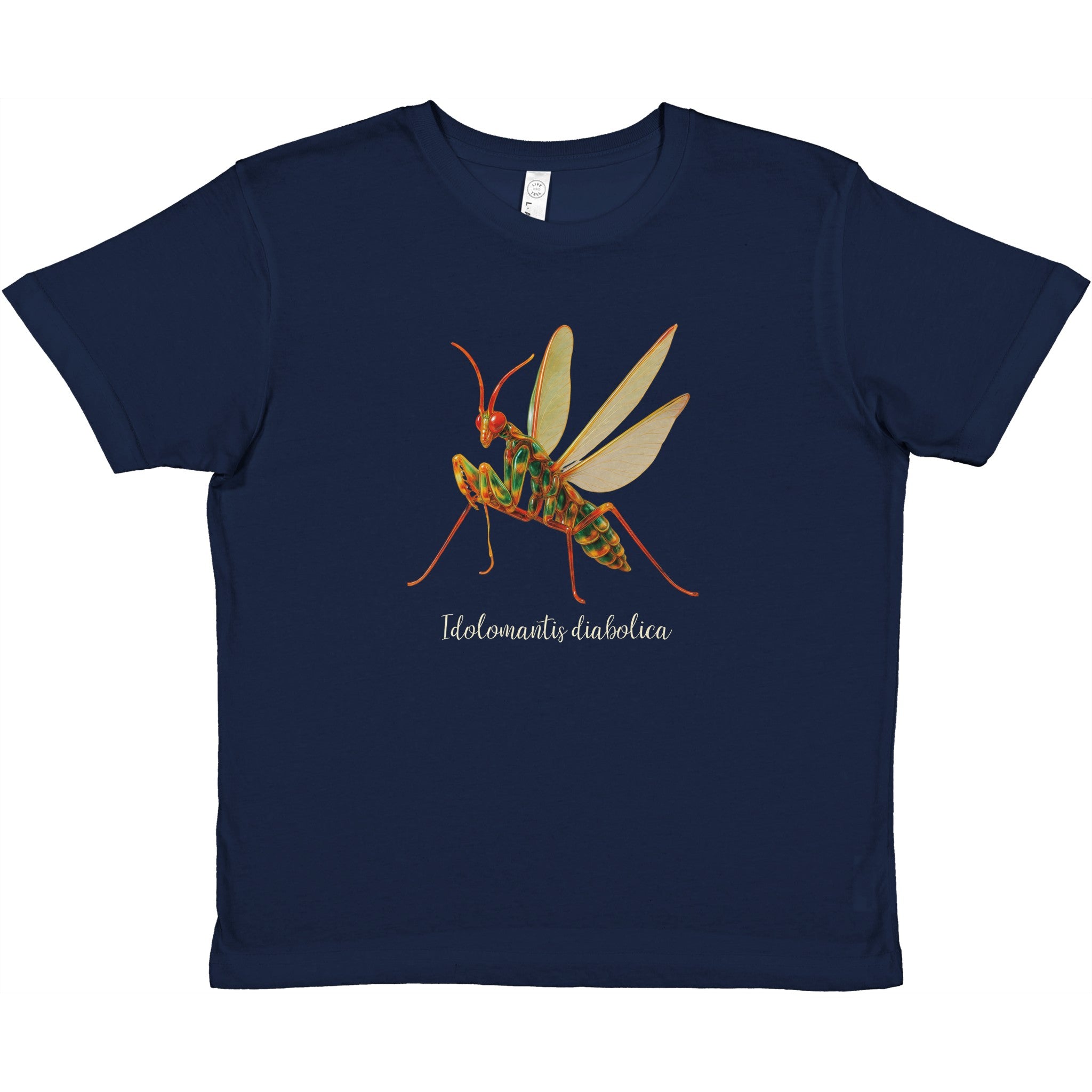 dfbff807-63d3-4740-83e9-0d85d41dcab7