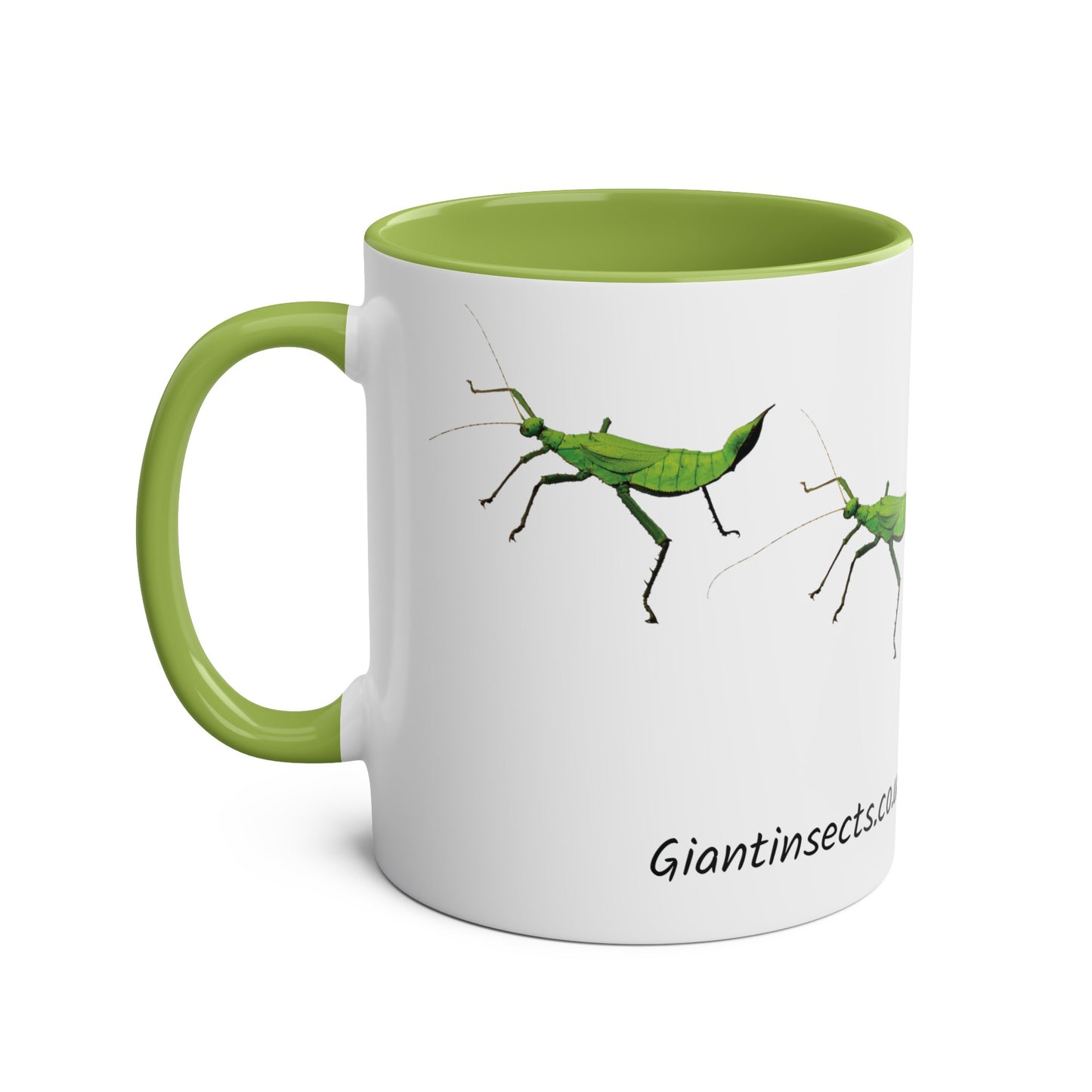 Jungle Nymph Coffee Mugs, various colours, heteropteryx dilatata