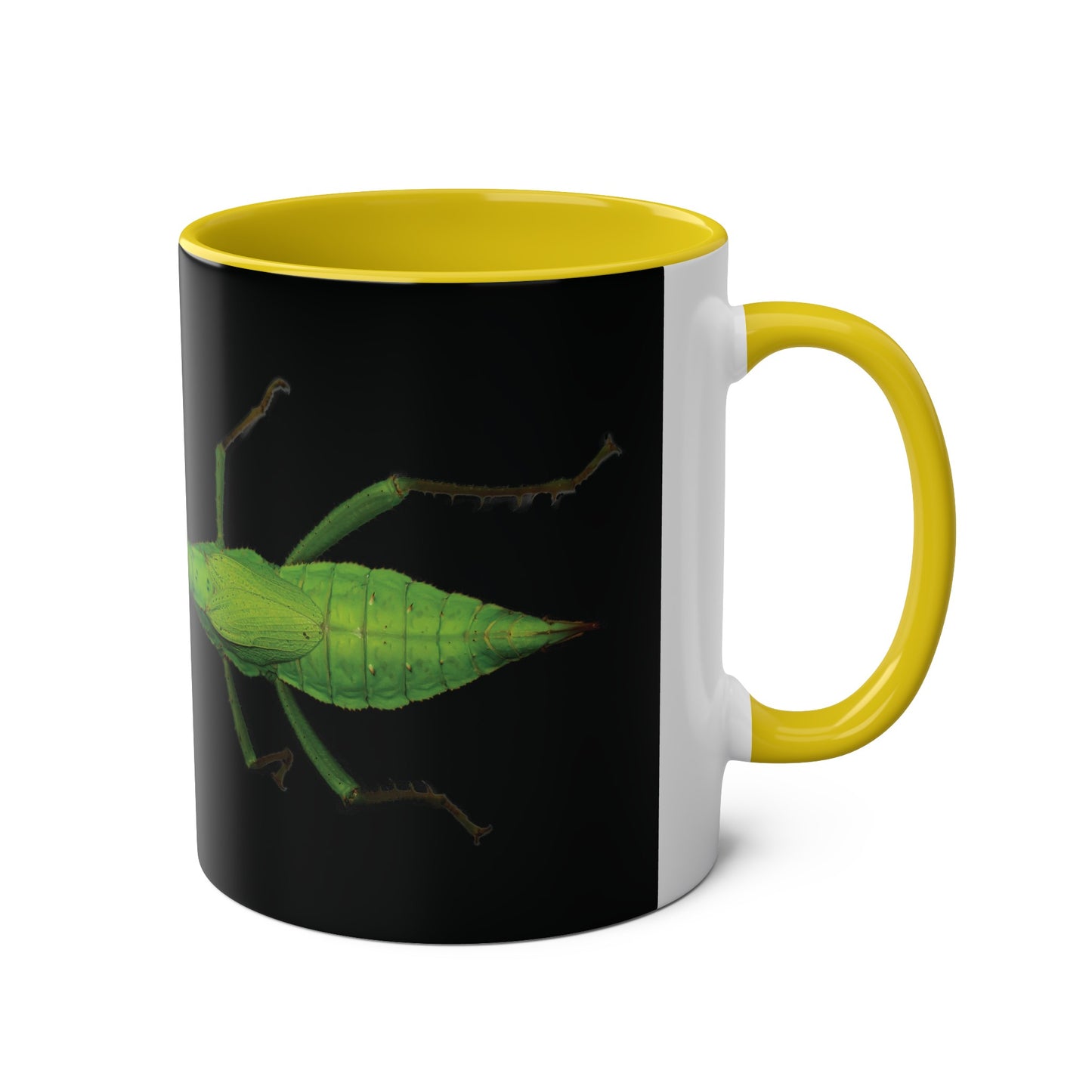 Heteropteryx Dilatata Two-Tone Coffee Mugs, 11oz