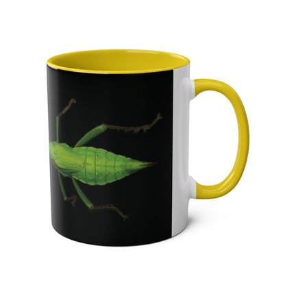 Heteropteryx Dilatata Two-Tone Coffee Mugs, 11oz