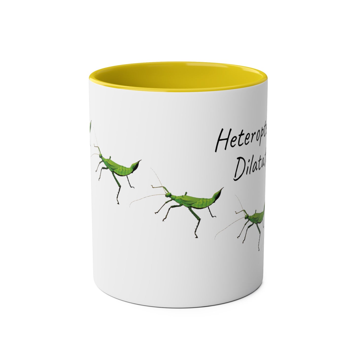 Jungle Nymph Two-Tone Coffee Mugs, 11oz