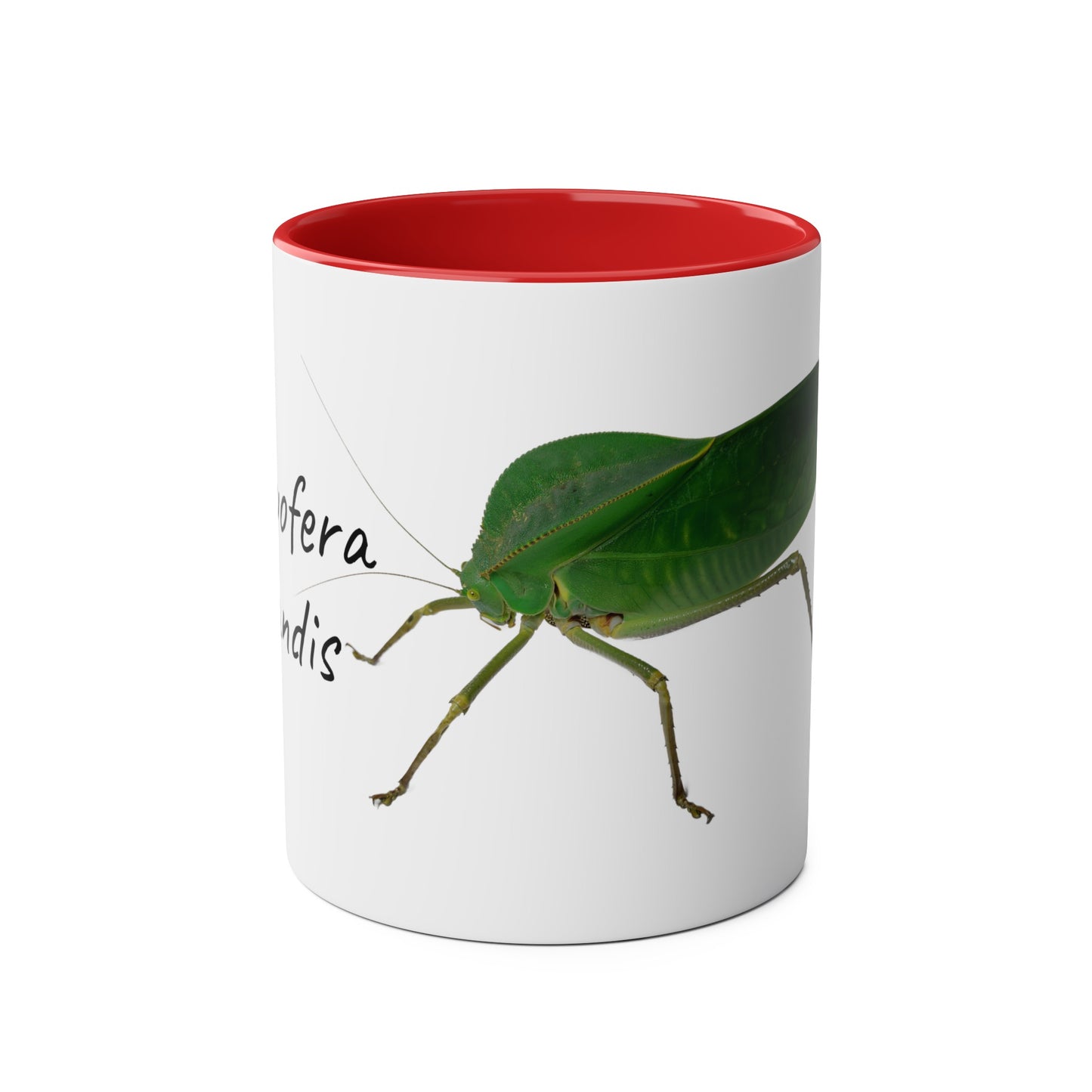 Siliquofera Grandis - Giant Hooded Katydid Two-Tone Coffee Mugs, 11oz