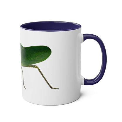 Siliquofera Grandis - Giant Hooded Katydid Two-Tone Coffee Mugs, 11oz