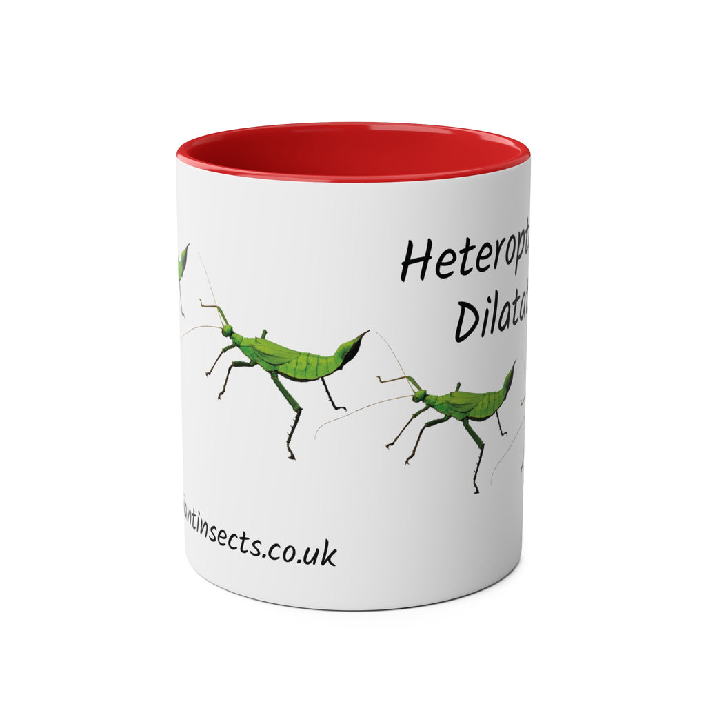 Jungle Nymph Coffee Mugs, various colours, heteropteryx dilatata