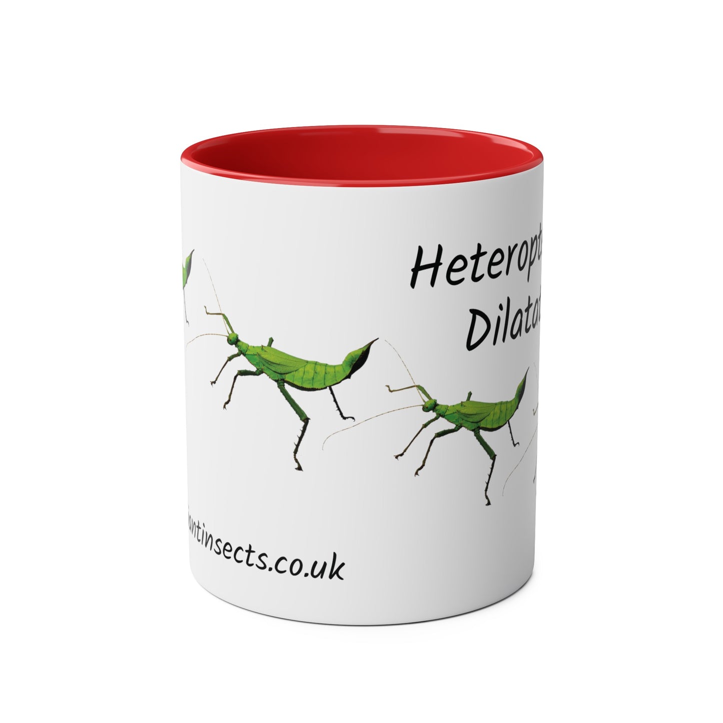 Jungle Nymph Coffee Mugs, various colours, heteropteryx dilatata