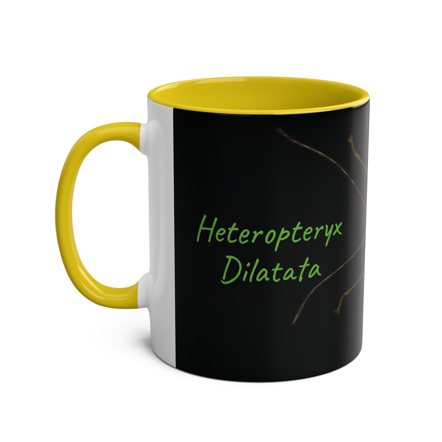 Heteropteryx Dilatata Two-Tone Coffee Mugs, 11oz