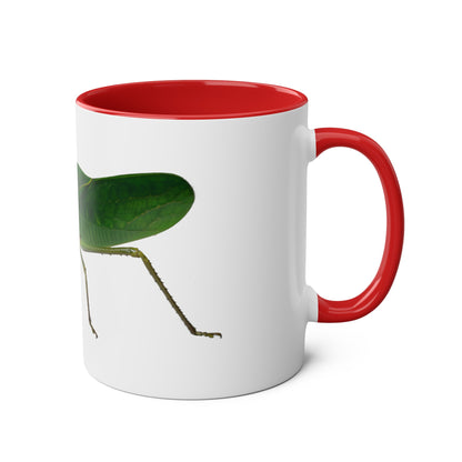 Siliquofera Grandis - Giant Hooded Katydid Two-Tone Coffee Mugs, 11oz