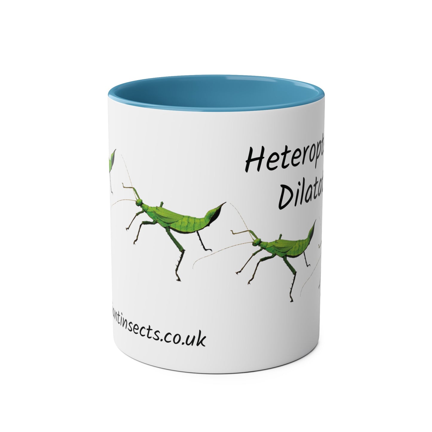 Jungle Nymph Coffee Mugs, various colours, heteropteryx dilatata