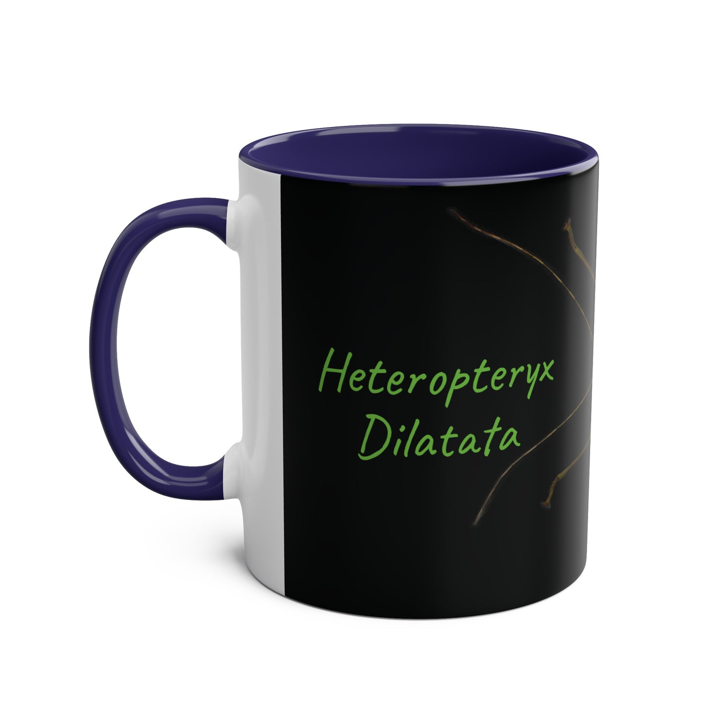 Heteropteryx Dilatata Two-Tone Coffee Mugs, 11oz