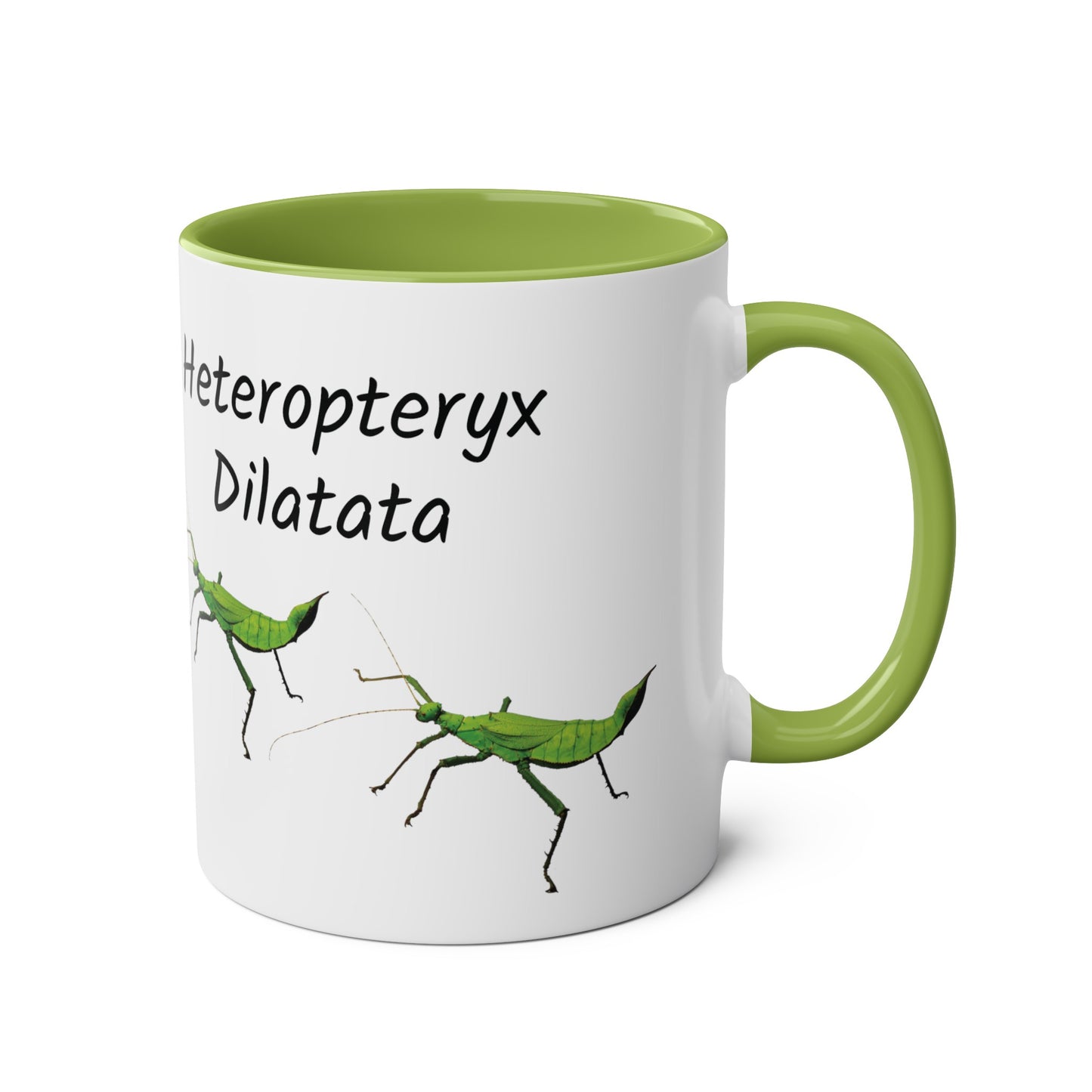 Jungle Nymph Coffee Mugs, various colours, heteropteryx dilatata