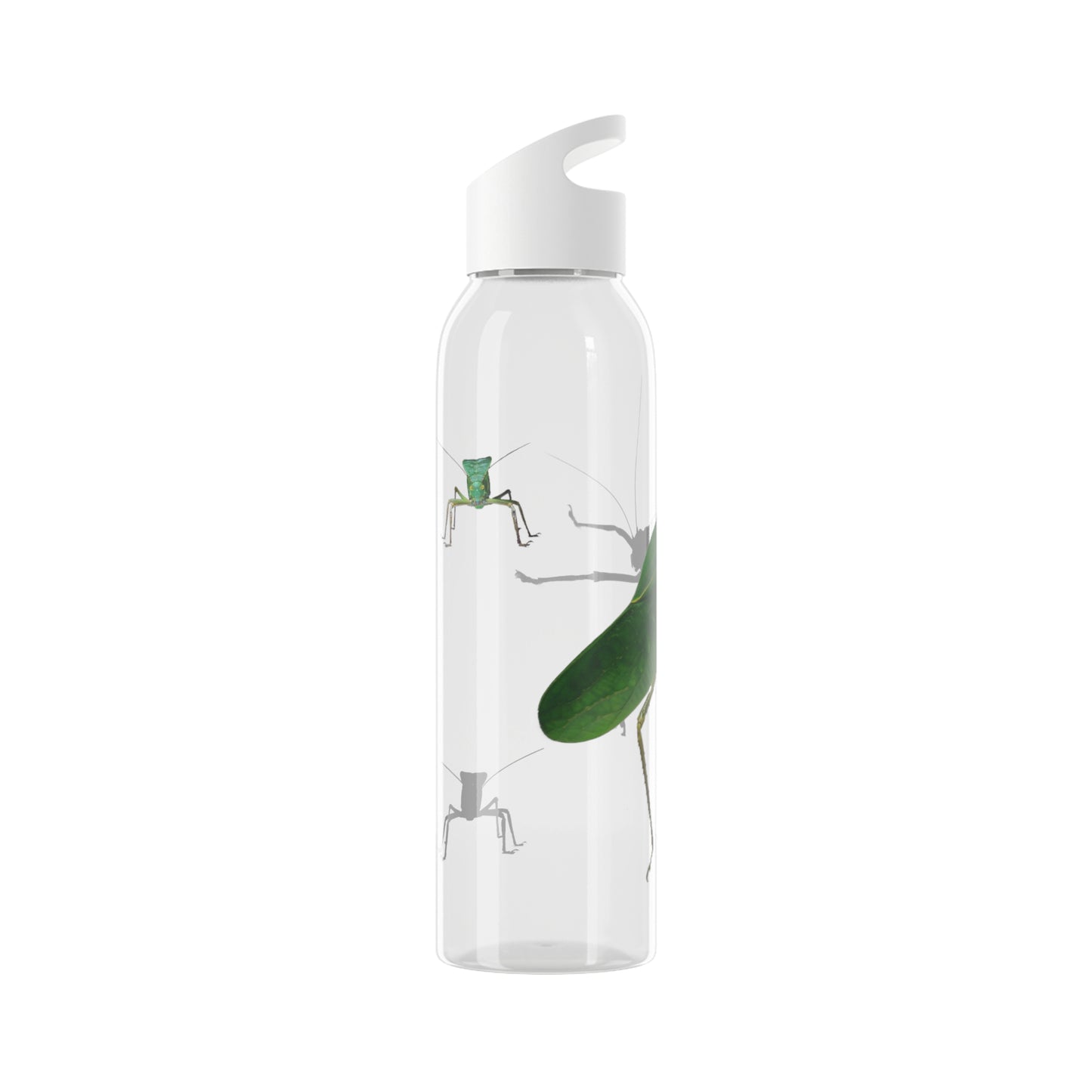 Katydid Water Bottle