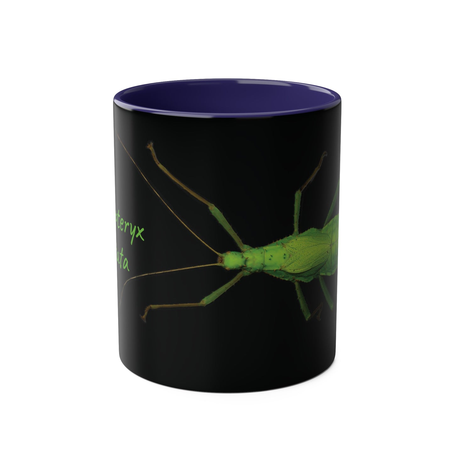 Heteropteryx Dilatata Two-Tone Coffee Mugs, 11oz