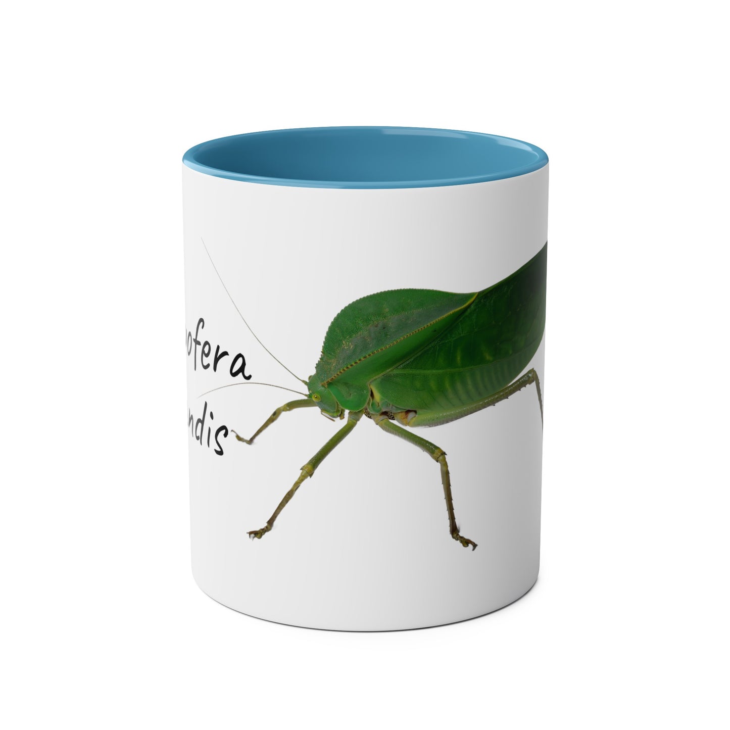 Siliquofera Grandis - Giant Hooded Katydid Two-Tone Coffee Mugs, 11oz