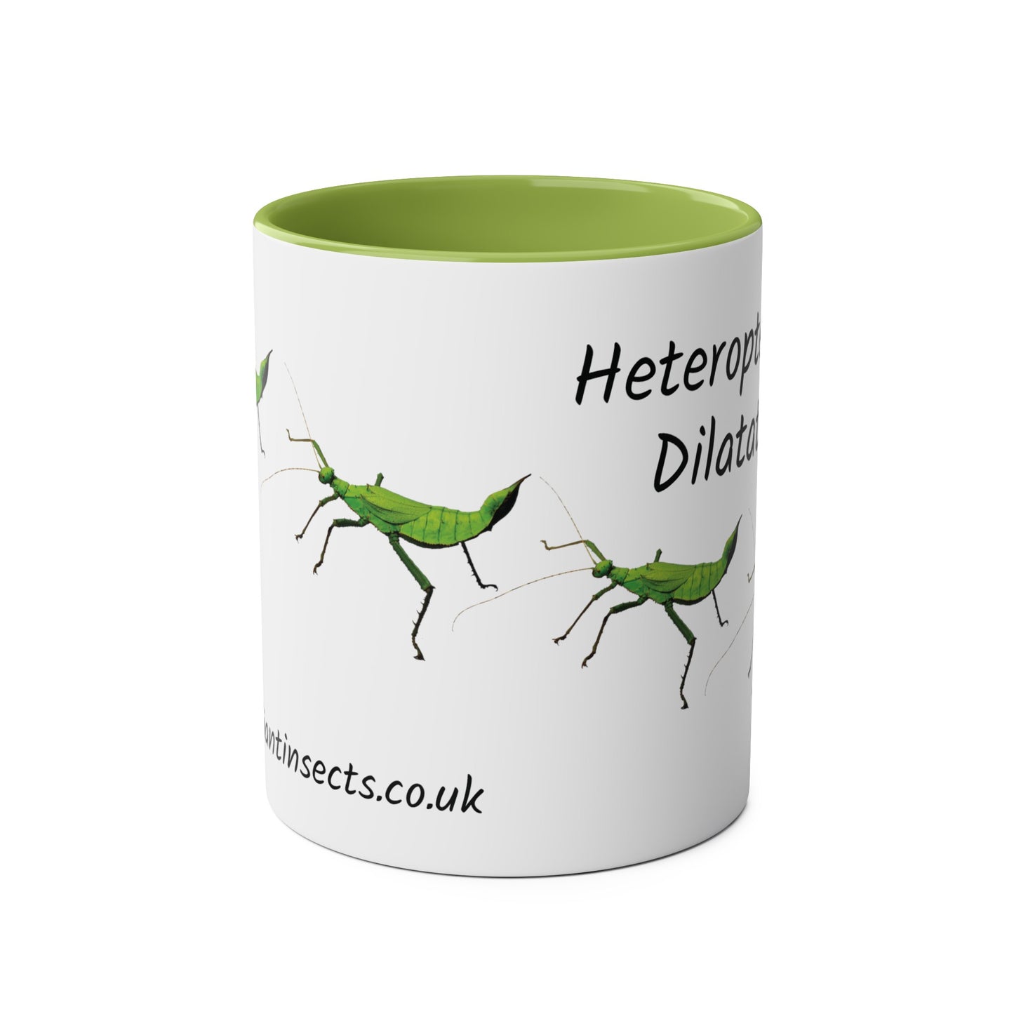 Jungle Nymph Coffee Mugs, various colours, heteropteryx dilatata