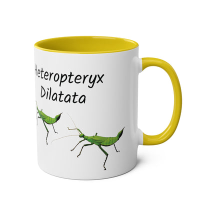 Jungle Nymph Coffee Mugs, various colours, heteropteryx dilatata