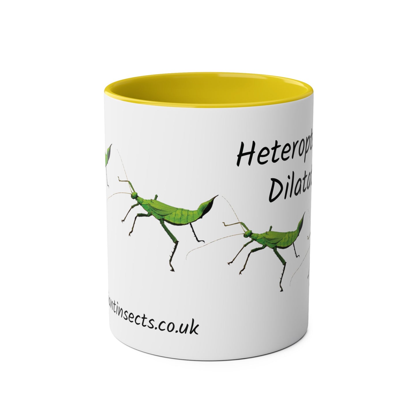 Jungle Nymph Coffee Mugs, various colours, heteropteryx dilatata