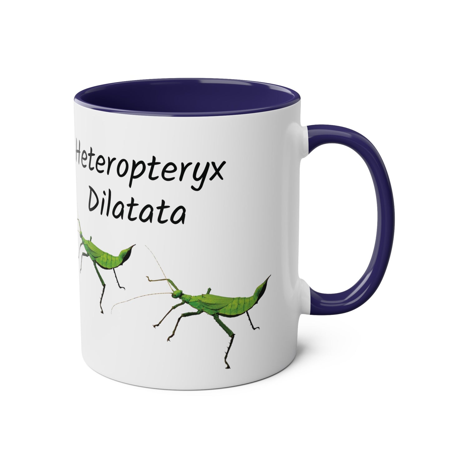 Jungle Nymph Coffee Mugs, various colours, heteropteryx dilatata