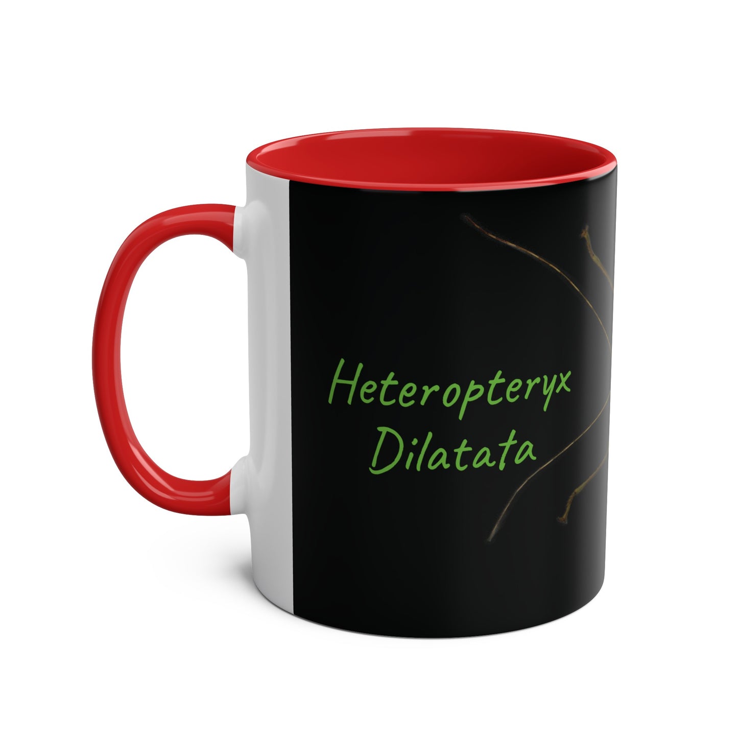 Heteropteryx Dilatata Two-Tone Coffee Mugs, 11oz