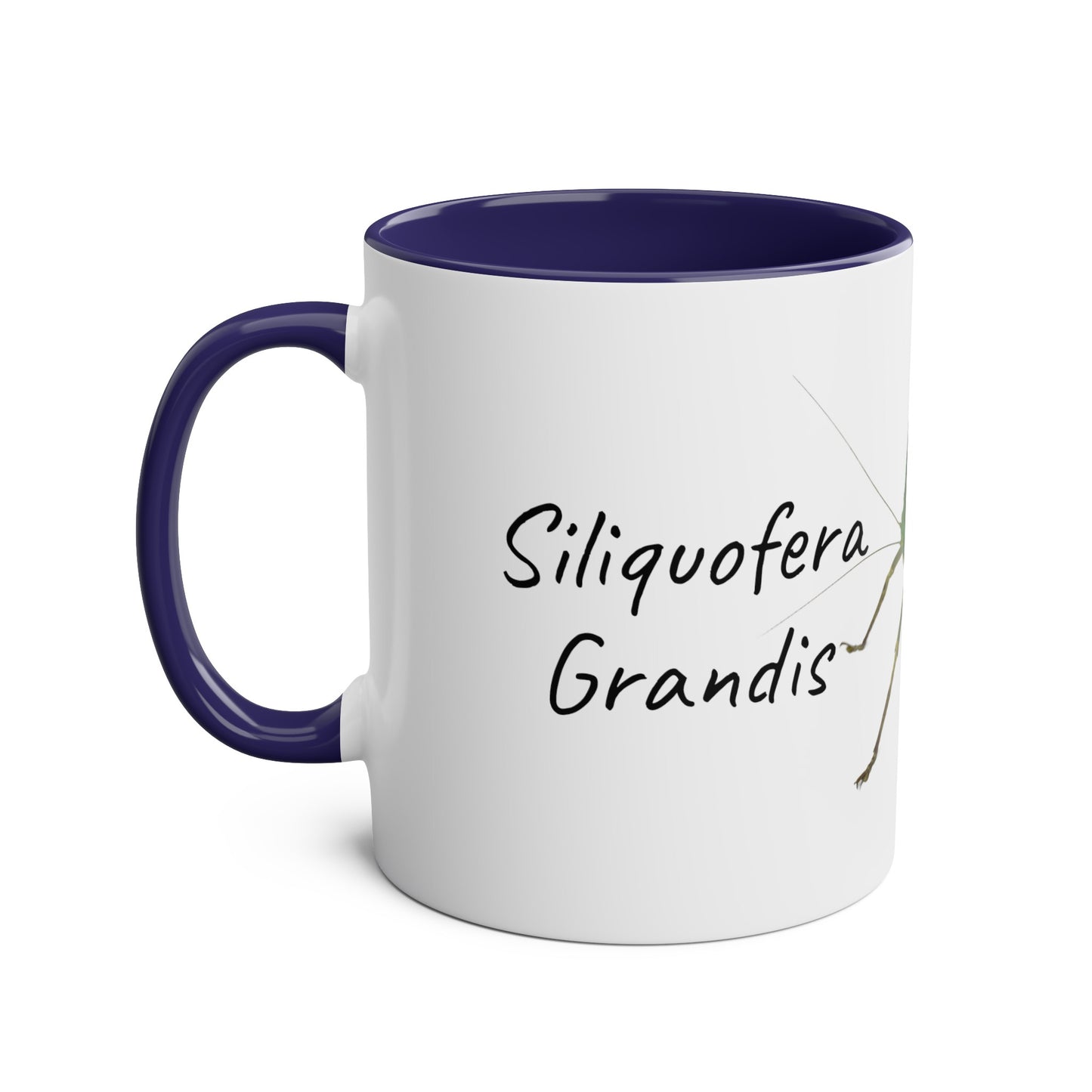 Siliquofera Grandis - Giant Hooded Katydid Two-Tone Coffee Mugs, 11oz