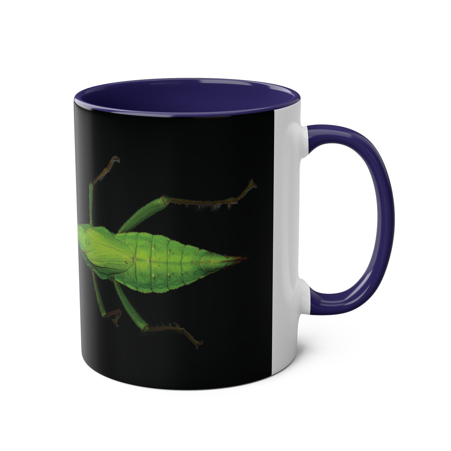 Heteropteryx Dilatata Two-Tone Coffee Mugs, 11oz