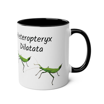 Jungle Nymph Coffee Mugs, various colours, heteropteryx dilatata