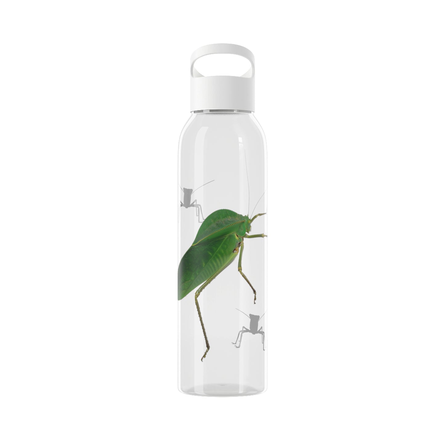 Katydid Water Bottle