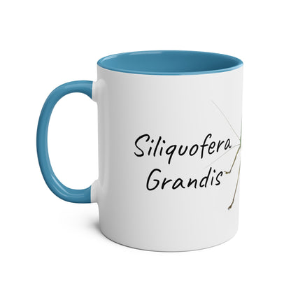 Siliquofera Grandis - Giant Hooded Katydid Two-Tone Coffee Mugs, 11oz