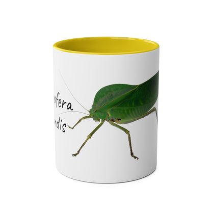 Siliquofera Grandis - Giant Hooded Katydid Two-Tone Coffee Mugs, 11oz