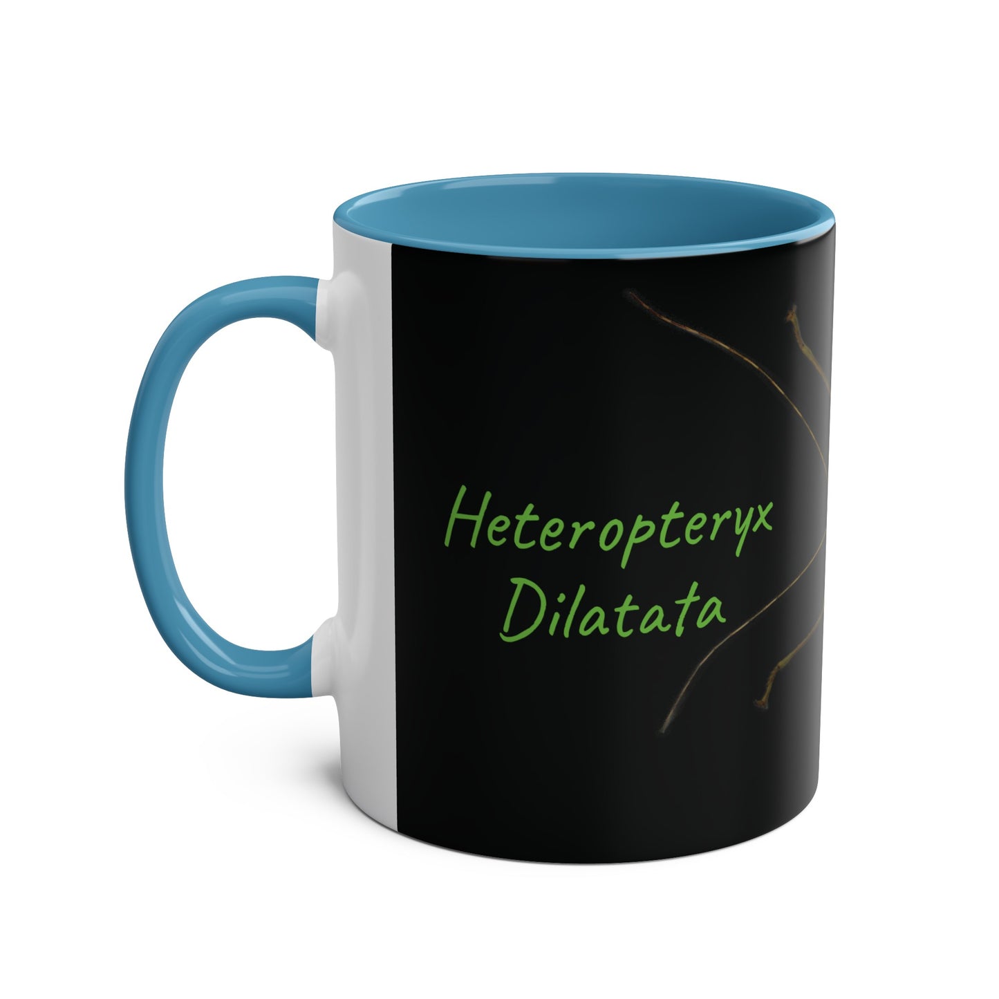 Heteropteryx Dilatata Two-Tone Coffee Mugs, 11oz