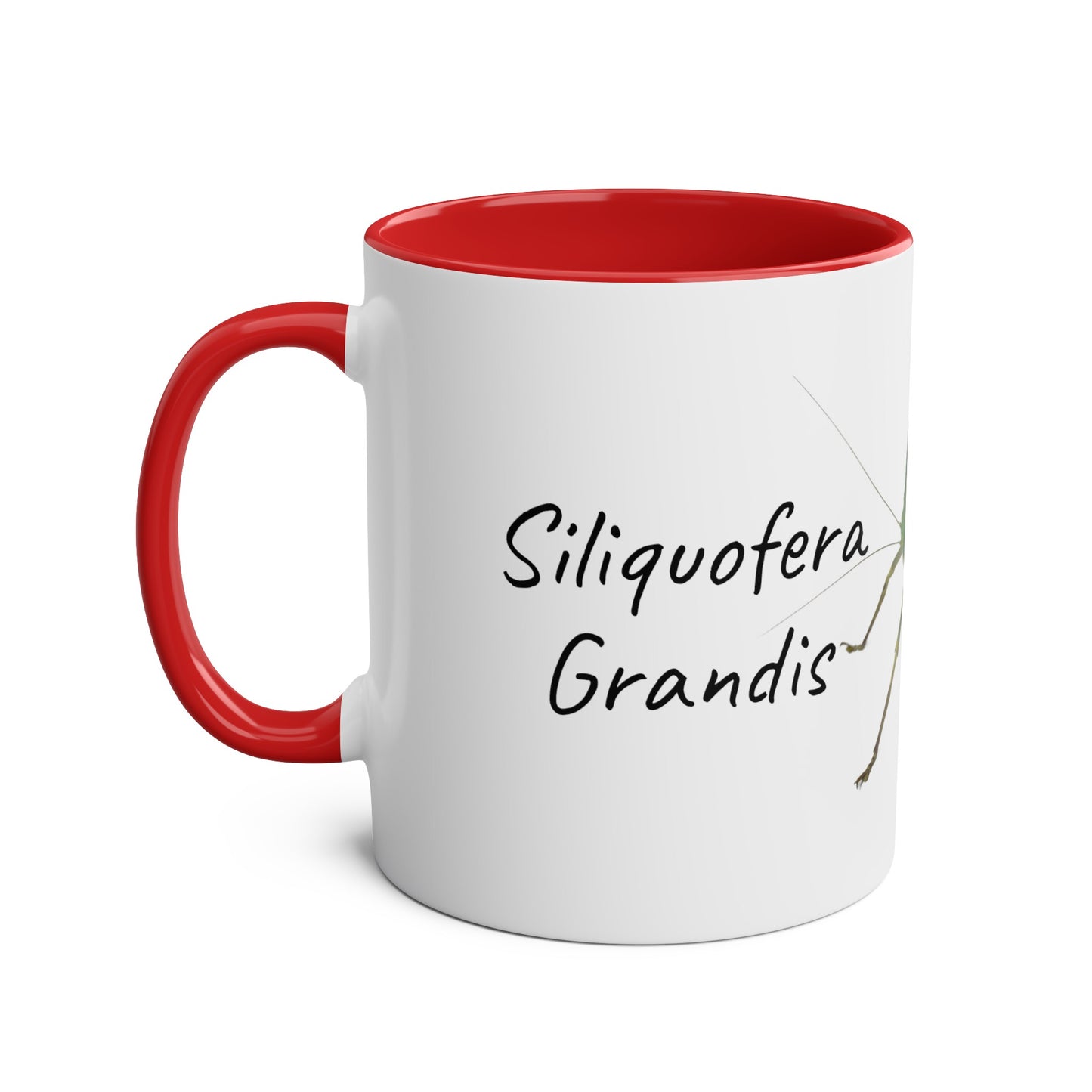 Siliquofera Grandis - Giant Hooded Katydid Two-Tone Coffee Mugs, 11oz