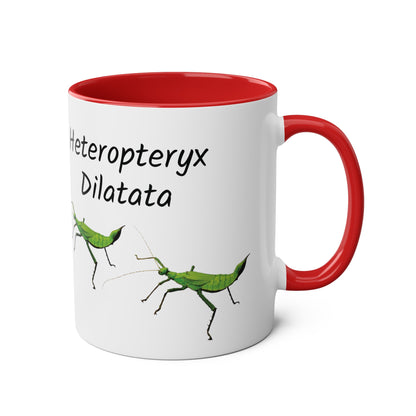 Jungle Nymph Coffee Mugs, various colours, heteropteryx dilatata