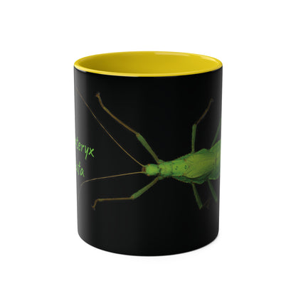 Heteropteryx Dilatata Two-Tone Coffee Mugs, 11oz