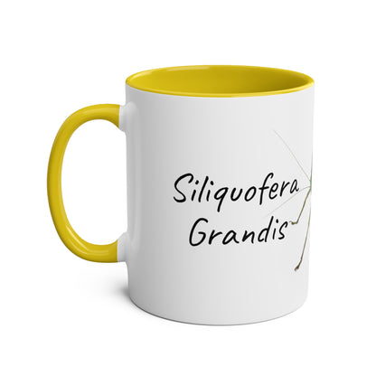 Siliquofera Grandis - Giant Hooded Katydid Two-Tone Coffee Mugs, 11oz