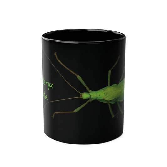 Heteropteryx Dilatata Two-Tone Coffee Mugs, 11oz