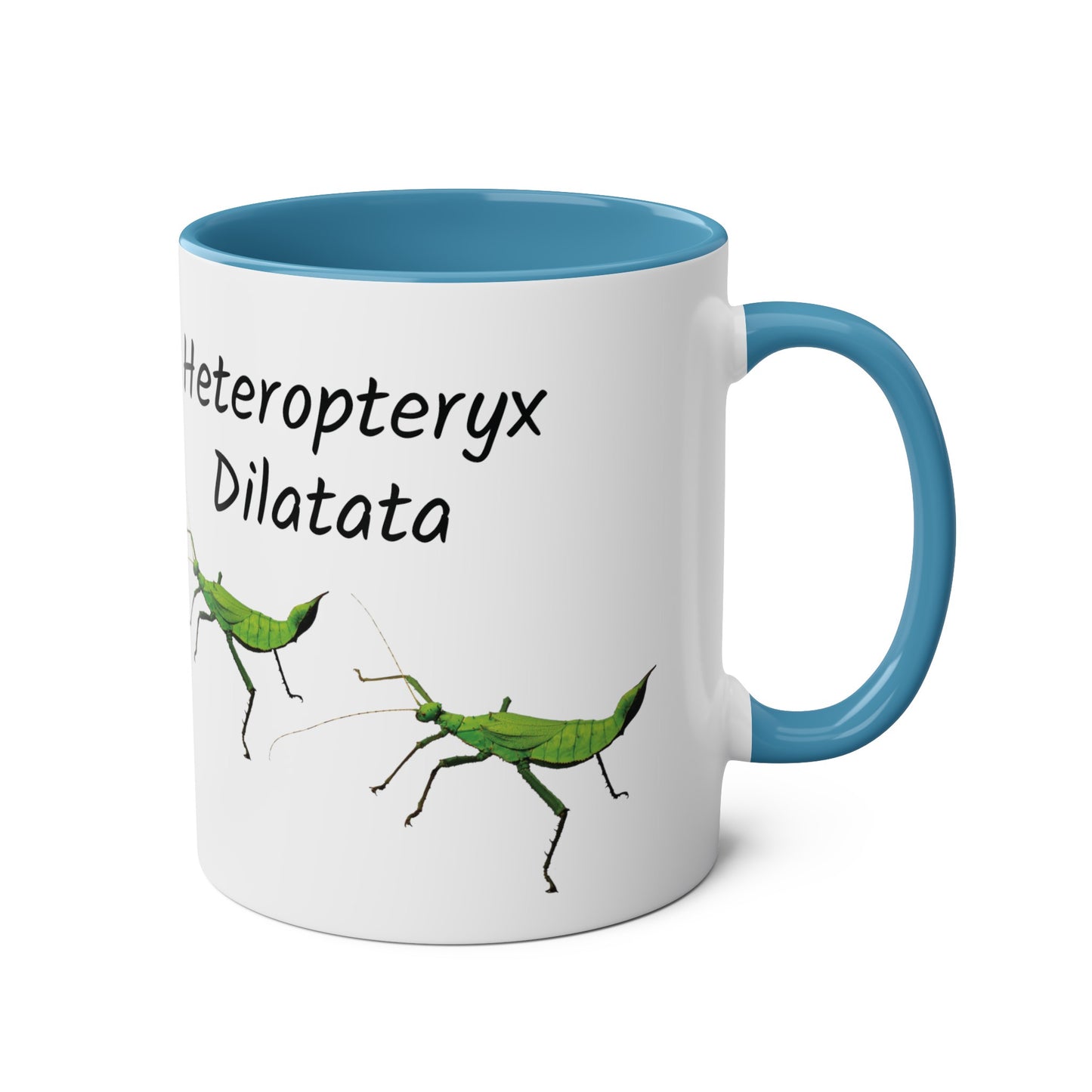 Jungle Nymph Coffee Mugs, various colours, heteropteryx dilatata