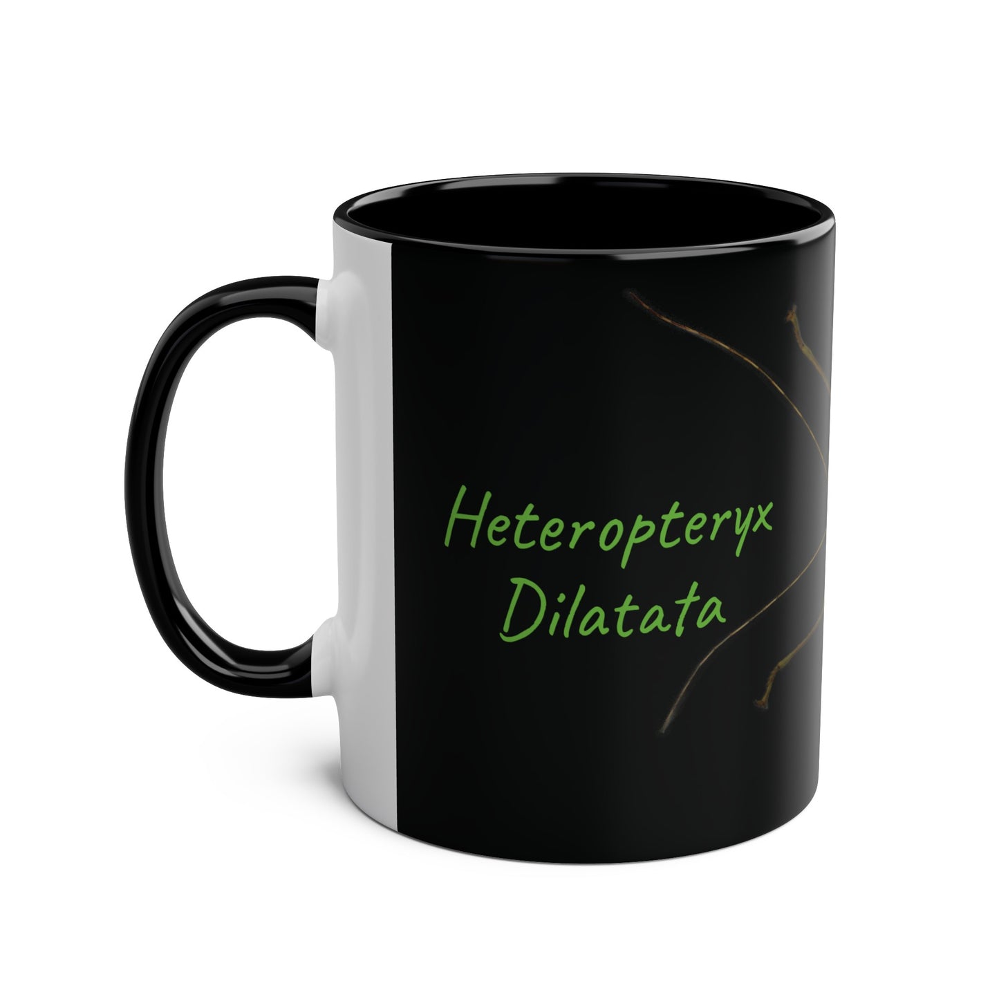 Heteropteryx Dilatata Two-Tone Coffee Mugs, 11oz