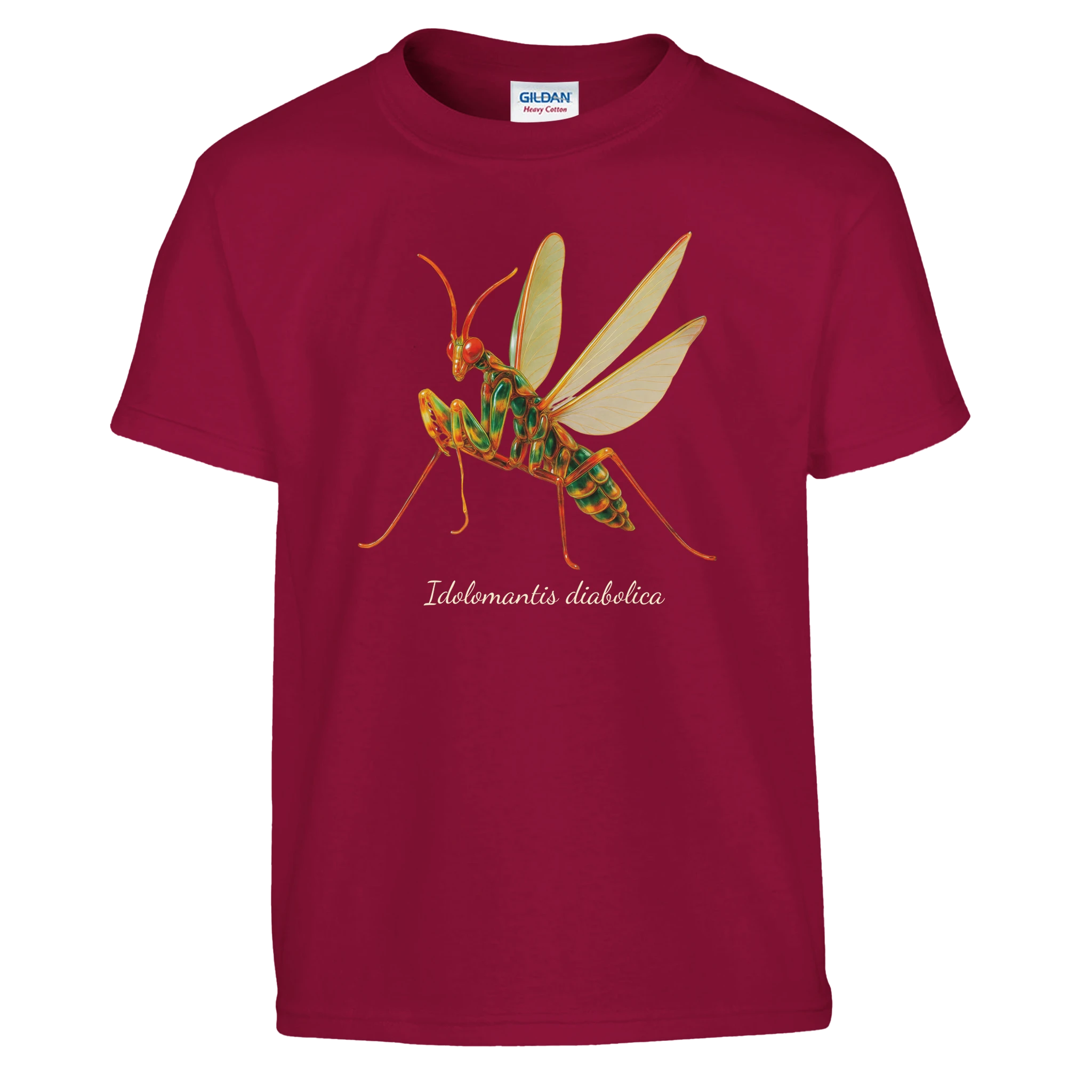 d6ed58c2-3227-421c-9191-3af1c016de75