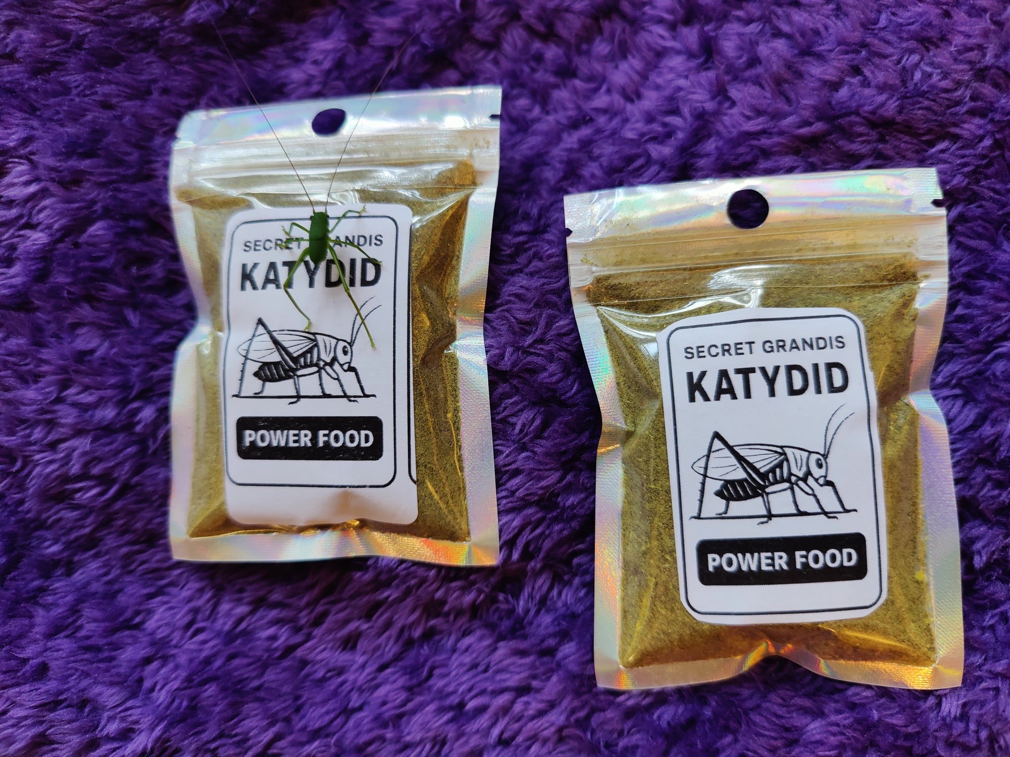 Secret Grandis Katydid Power Food 75 grams